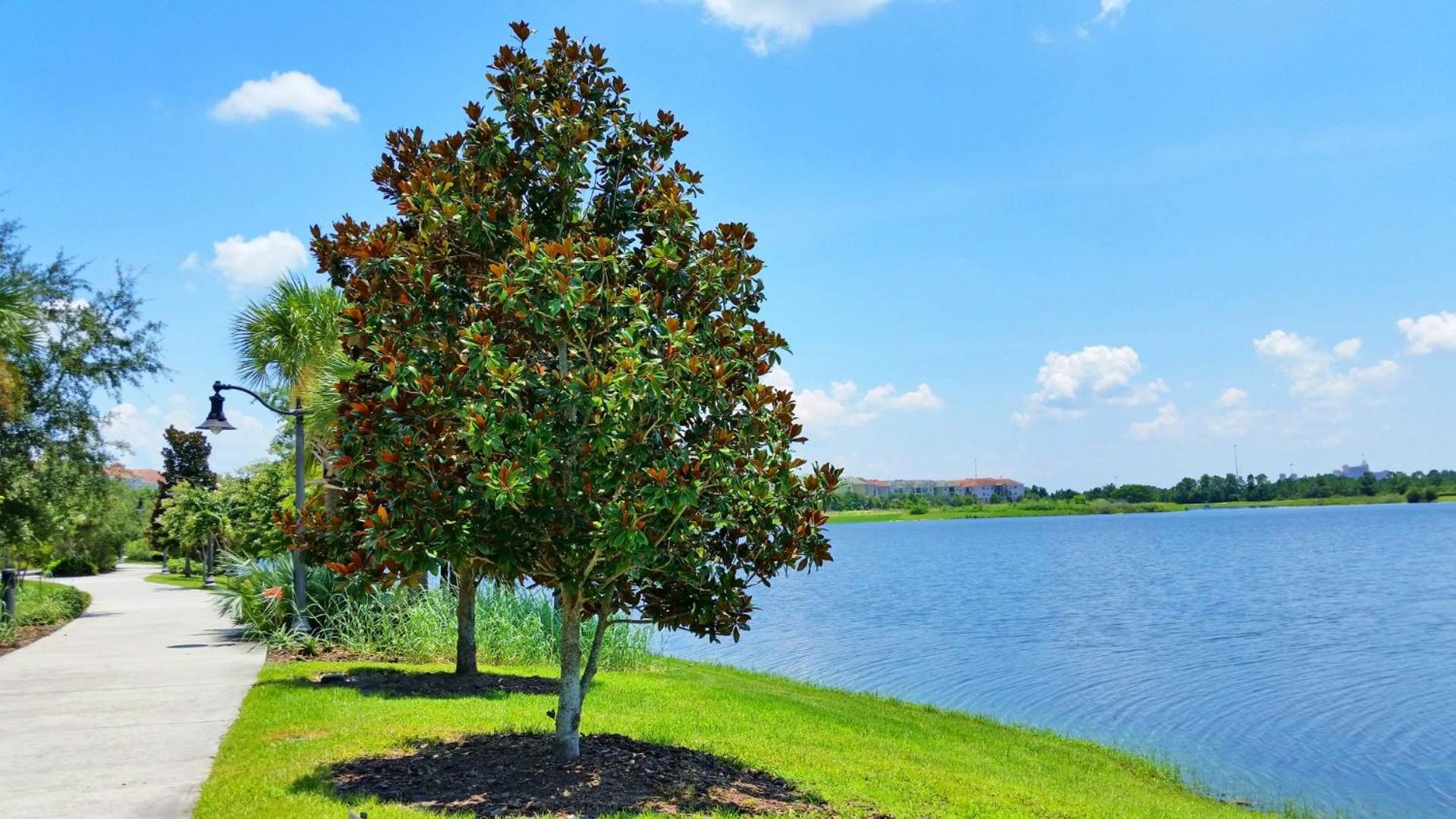 Lovely Townhome At Vista Cay Resort Near Wdw Orlando Kültér fotó
